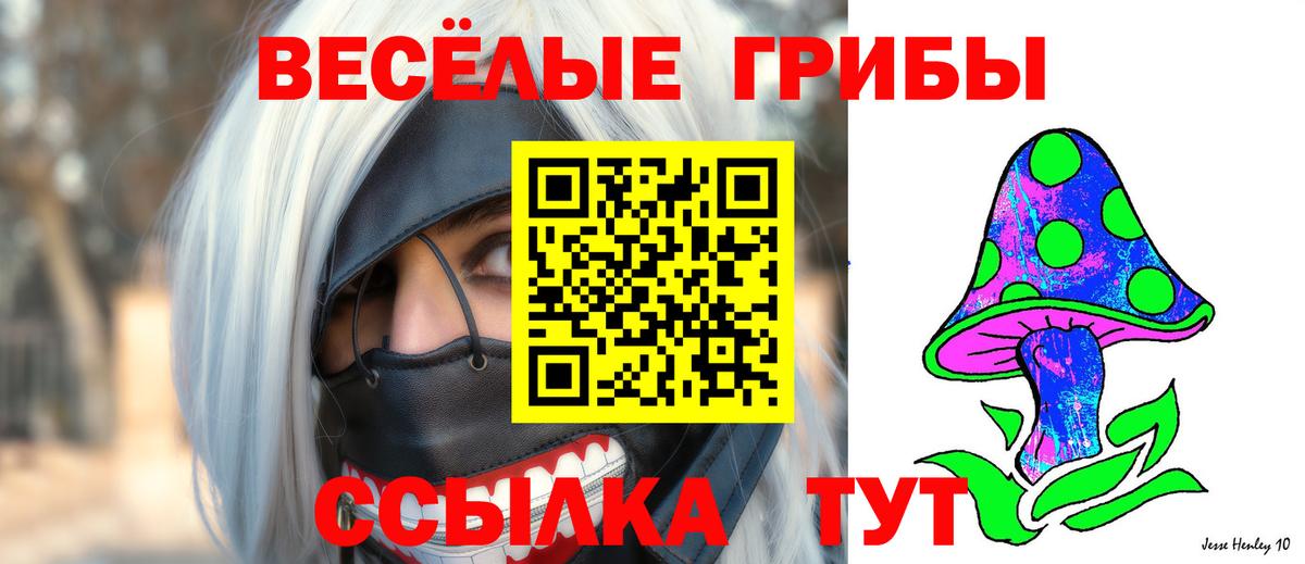 Новосибирск  Галлюциногенные грибы мухоморы  наркошоп  Вход с VPN 